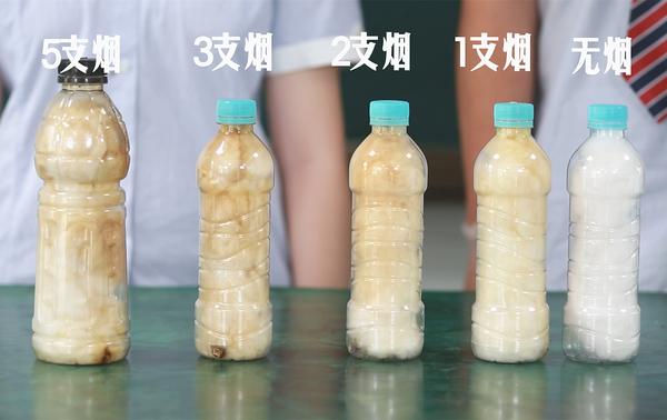 世界无烟日 (8) 世界无烟日 (8)